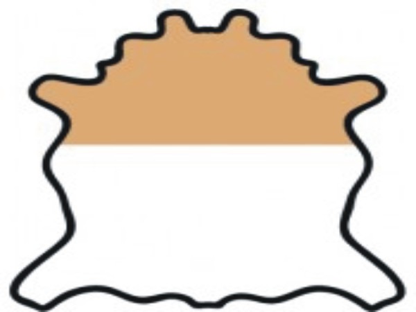 DOUBLE SHOULDER LEATHER